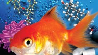 Revista "Environmental Science & Technology"