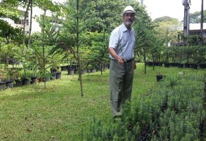 Prof. Zanette e suas mudas de pinheiro do Paraná